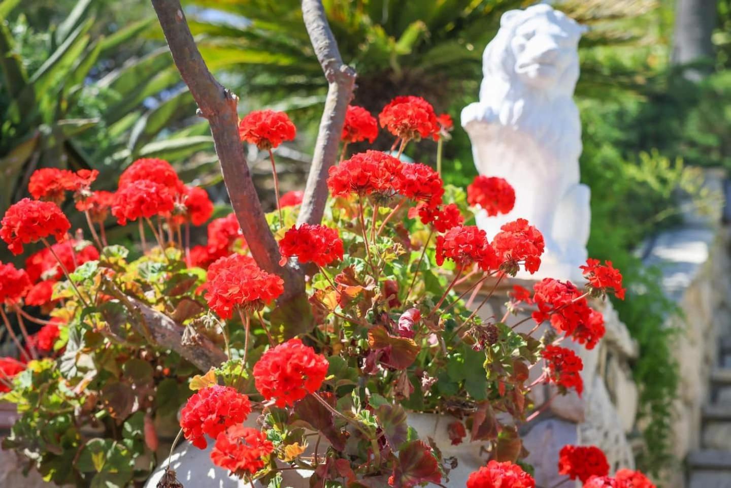 Nature Focused Villa Designed For Wellness Fallbrook Εξωτερικό φωτογραφία
