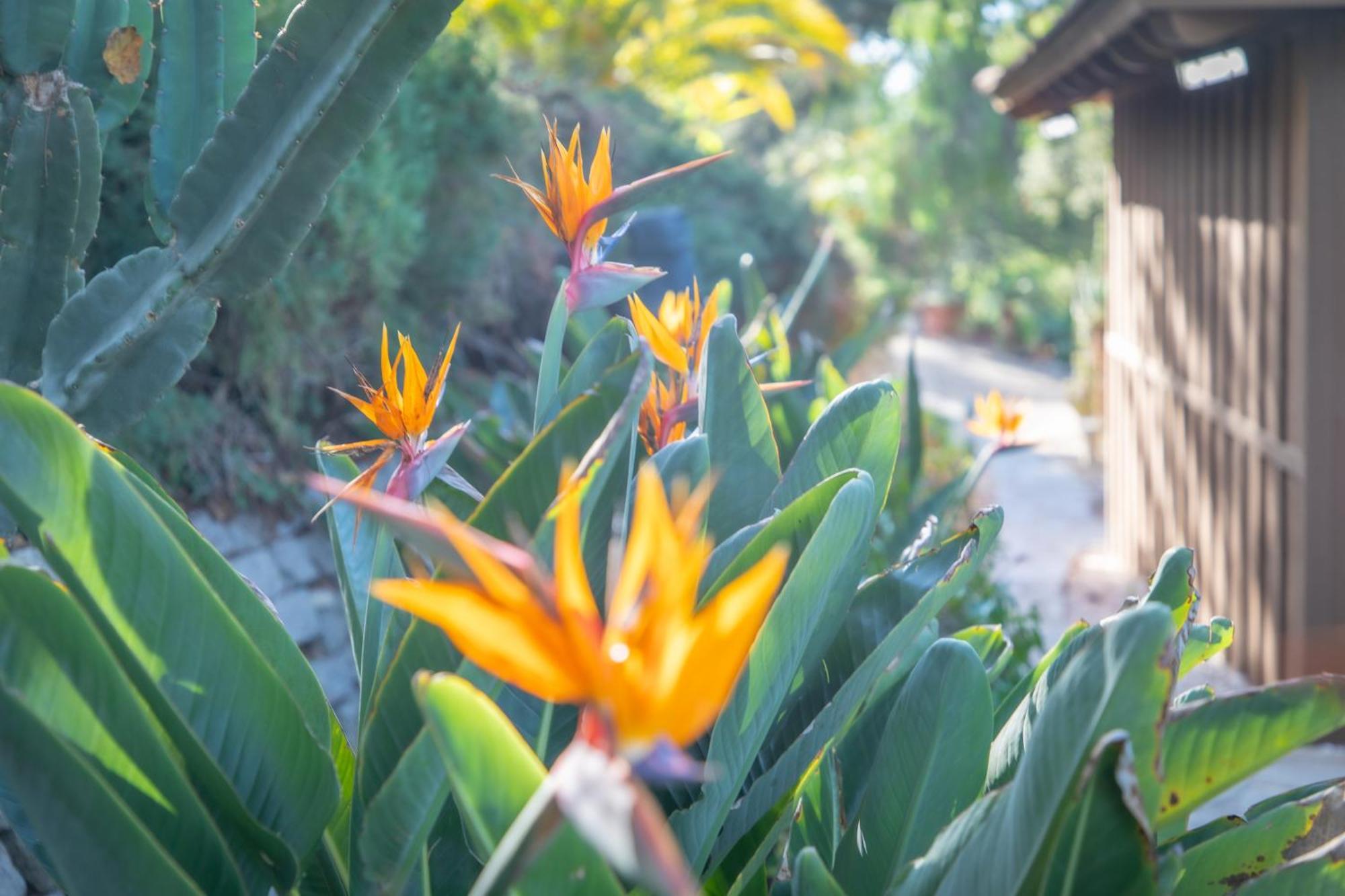 Nature Focused Villa Designed For Wellness Fallbrook Εξωτερικό φωτογραφία